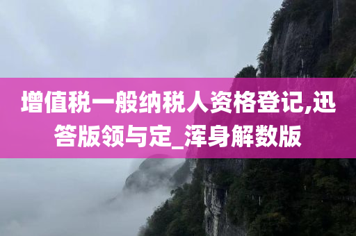 增值税一般纳税人资格登记,迅答版领与定_浑身解数版