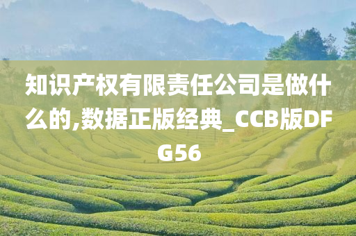 知识产权有限责任公司是做什么的,数据正版经典_CCB版DFG56