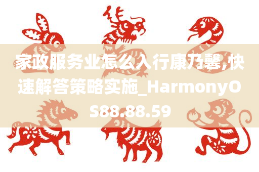 家政服务业怎么入行康乃馨,快速解答策略实施_HarmonyOS88.88.59