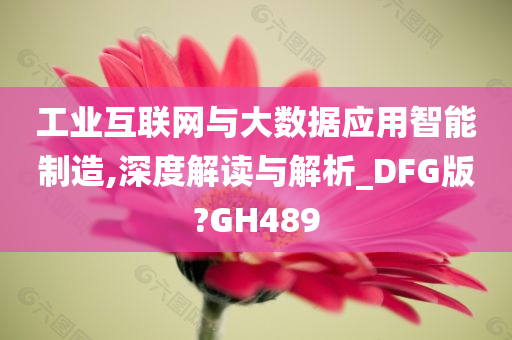 工业互联网与大数据应用智能制造,深度解读与解析_DFG版?GH489