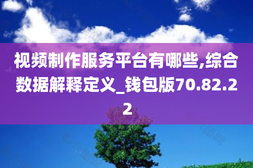 视频制作服务平台有哪些,综合数据解释定义_钱包版70.82.22