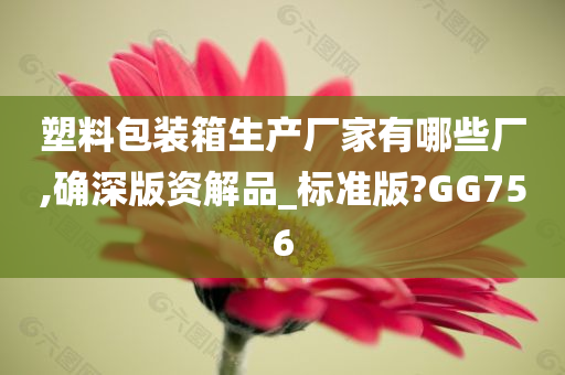 塑料包装箱生产厂家有哪些厂,确深版资解品_标准版?GG756