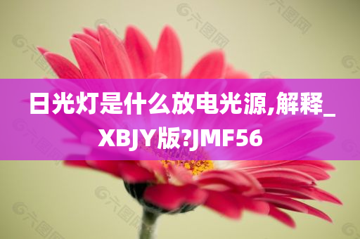 日光灯是什么放电光源,解释_XBJY版?JMF56