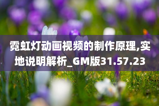 霓虹灯动画视频的制作原理,实地说明解析_GM版31.57.23