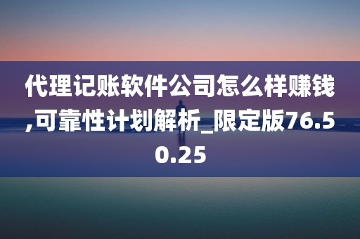 代理记账软件公司怎么样赚钱,可靠性计划解析_限定版76.50.25