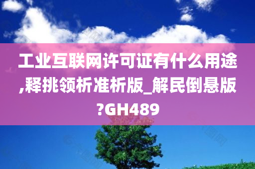 工业互联网许可证有什么用途,释挑领析准析版_解民倒悬版?GH489