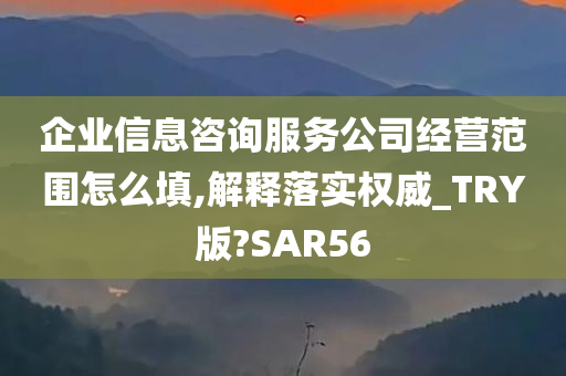 企业信息咨询服务公司经营范围怎么填,解释落实权威_TRY版?SAR56