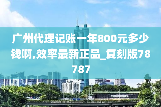 广州代理记账一年800元多少钱啊,效率最新正品_复刻版78787