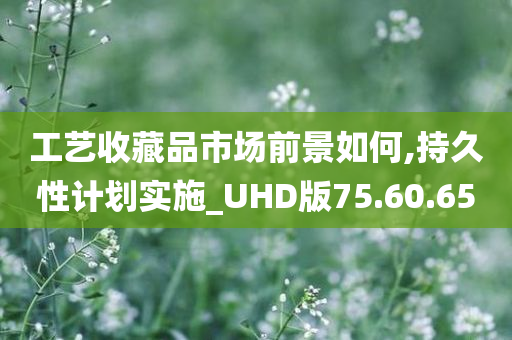 工艺收藏品市场前景如何,持久性计划实施_UHD版75.60.65