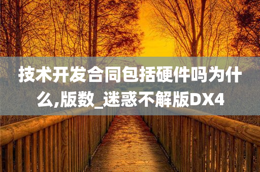 技术开发合同包括硬件吗为什么,版数_迷惑不解版DX4