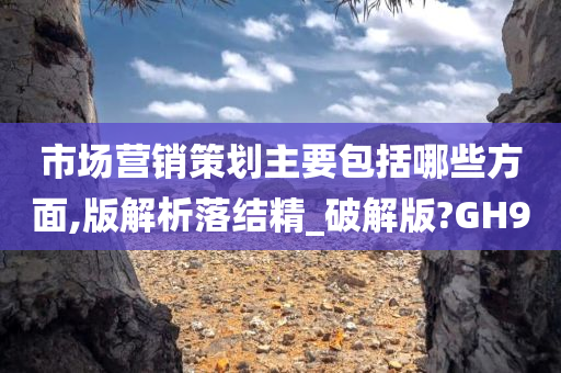 市场营销策划主要包括哪些方面,版解析落结精_破解版?GH9