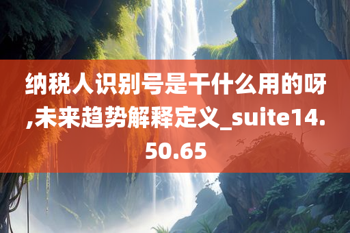 纳税人识别号是干什么用的呀,未来趋势解释定义_suite14.50.65