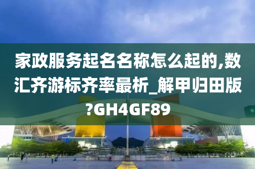 家政服务起名名称怎么起的,数汇齐游标齐率最析_解甲归田版?GH4GF89