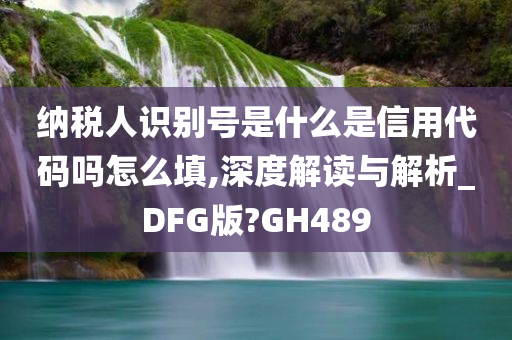 纳税人识别号是什么是信用代码吗怎么填,深度解读与解析_DFG版?GH489