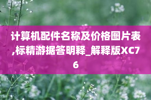 计算机配件名称及价格图片表,标精游据答明释_解释版XC76