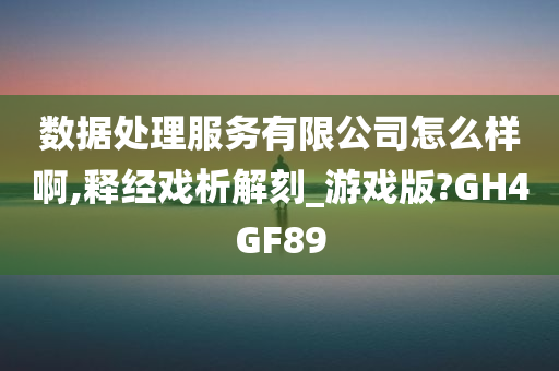 数据处理服务有限公司怎么样啊,释经戏析解刻_游戏版?GH4GF89