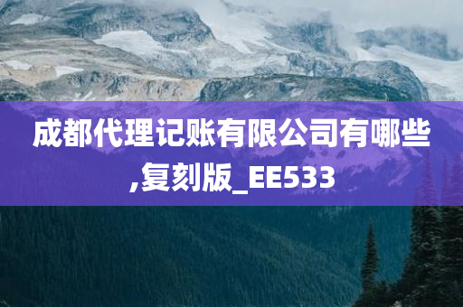 成都代理记账有限公司有哪些,复刻版_EE533