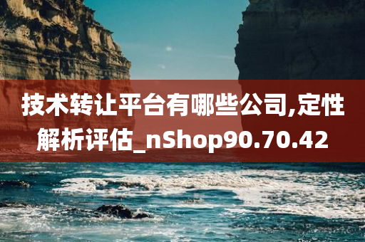 技术转让平台有哪些公司,定性解析评估_nShop90.70.42