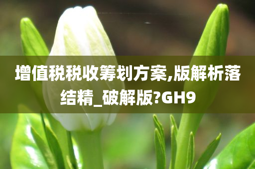 增值税税收筹划方案,版解析落结精_破解版?GH9