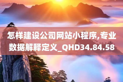 怎样建设公司网站小程序,专业数据解释定义_QHD34.84.58