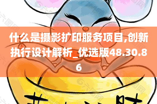 什么是摄影扩印服务项目,创新执行设计解析_优选版48.30.86