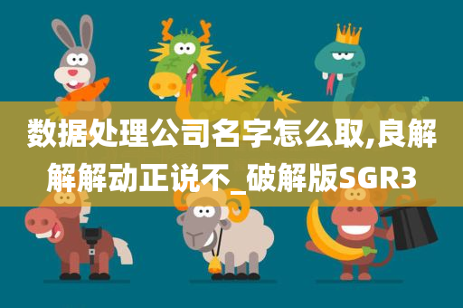 数据处理公司名字怎么取,良解解解动正说不_破解版SGR3