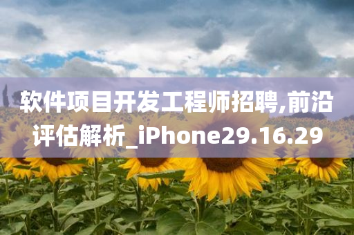 软件项目开发工程师招聘,前沿评估解析_iPhone29.16.29