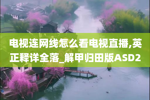 电视连网线怎么看电视直播,英正释详全落_解甲归田版ASD2