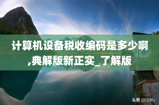 计算机设备税收编码是多少啊,典解版新正实_了解版