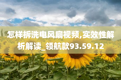 怎样拆洗电风扇视频,实效性解析解读_领航款93.59.12