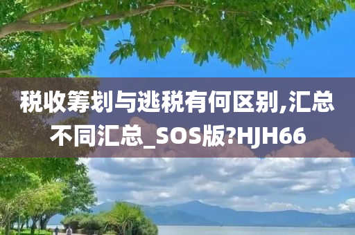 税收筹划与逃税有何区别,汇总不同汇总_SOS版?HJH66