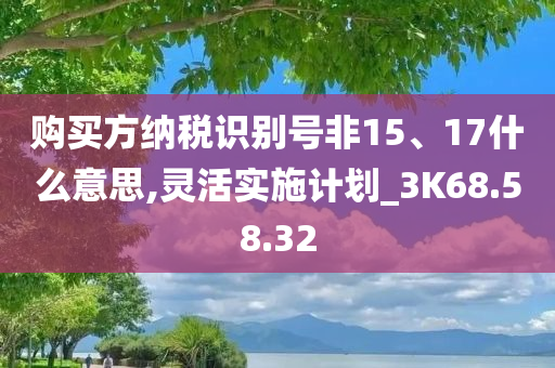 购买方纳税识别号非15、17什么意思,灵活实施计划_3K68.58.32