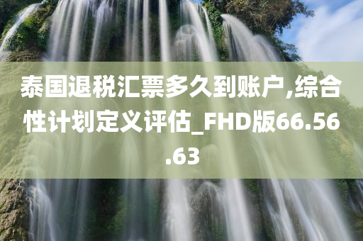 泰国退税汇票多久到账户,综合性计划定义评估_FHD版66.56.63