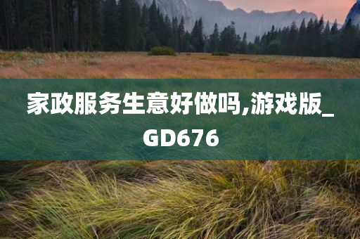 家政服务生意好做吗,游戏版_GD676