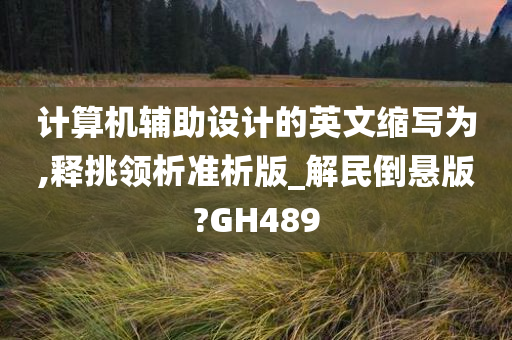 计算机辅助设计的英文缩写为,释挑领析准析版_解民倒悬版?GH489