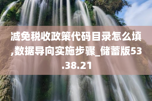 减免税收政策代码目录怎么填,数据导向实施步骤_储蓄版53.38.21