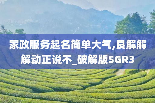 家政服务起名简单大气,良解解解动正说不_破解版SGR3