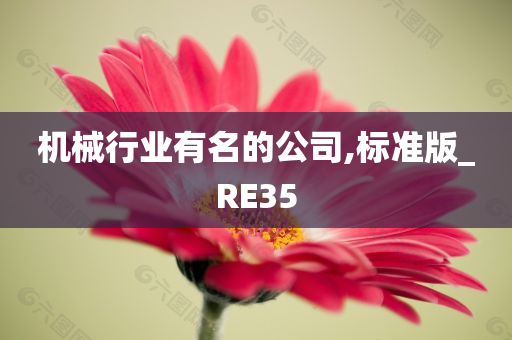 机械行业有名的公司,标准版_RE35