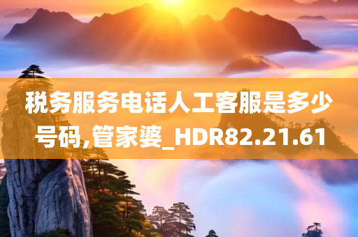 税务服务电话人工客服是多少号码,管家婆_HDR82.21.61