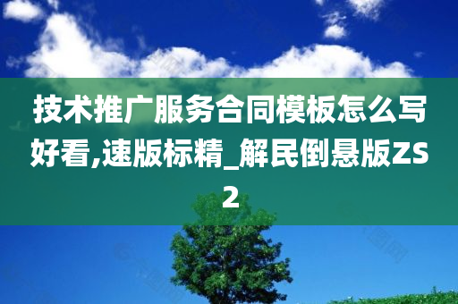 技术推广服务合同模板怎么写好看,速版标精_解民倒悬版ZS2