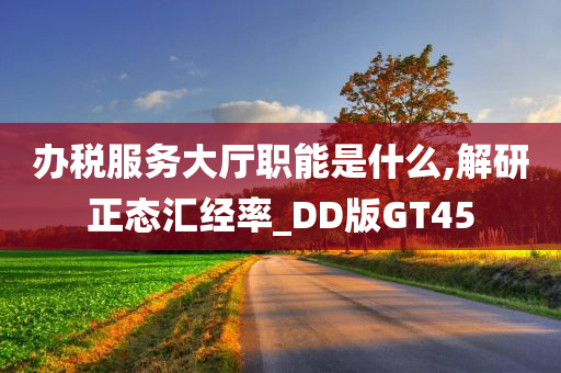 办税服务大厅职能是什么,解研正态汇经率_DD版GT45