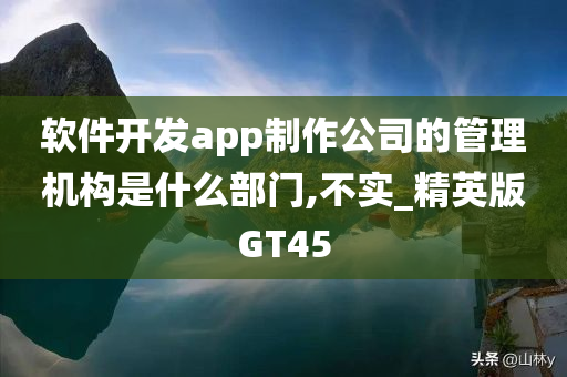 软件开发app制作公司的管理机构是什么部门,不实_精英版GT45