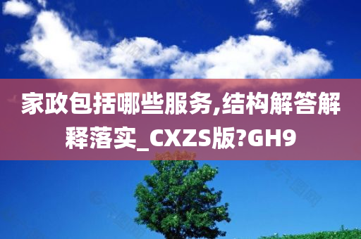 家政包括哪些服务,结构解答解释落实_CXZS版?GH9