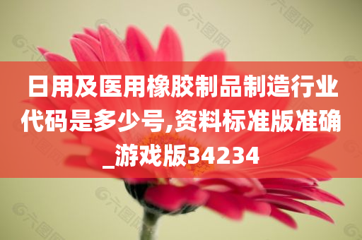 日用及医用橡胶制品制造行业代码是多少号,资料标准版准确_游戏版34234