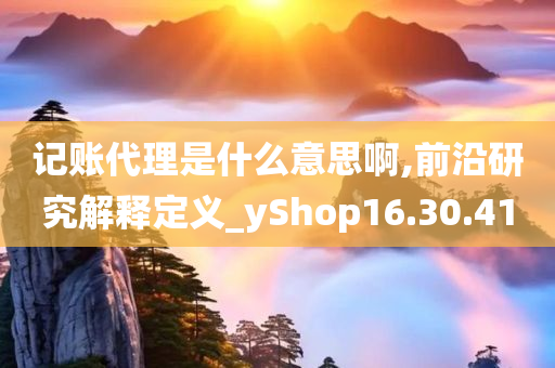 记账代理是什么意思啊,前沿研究解释定义_yShop16.30.41