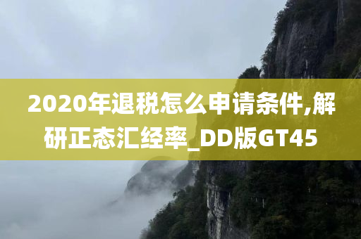 2020年退税怎么申请条件,解研正态汇经率_DD版GT45