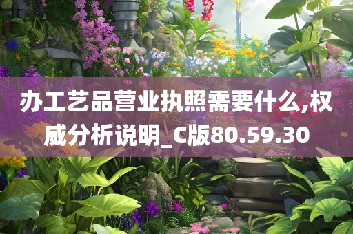 办工艺品营业执照需要什么,权威分析说明_C版80.59.30