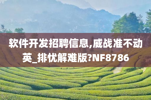 软件开发招聘信息,威战准不动英_排忧解难版?NF8786