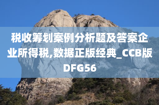 税收筹划案例分析题及答案企业所得税,数据正版经典_CCB版DFG56