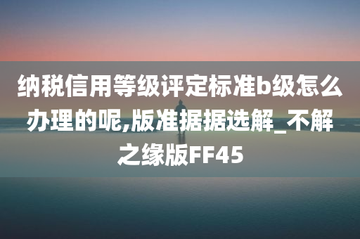 纳税信用等级评定标准b级怎么办理的呢,版准据据选解_不解之缘版FF45